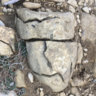 Mintxo